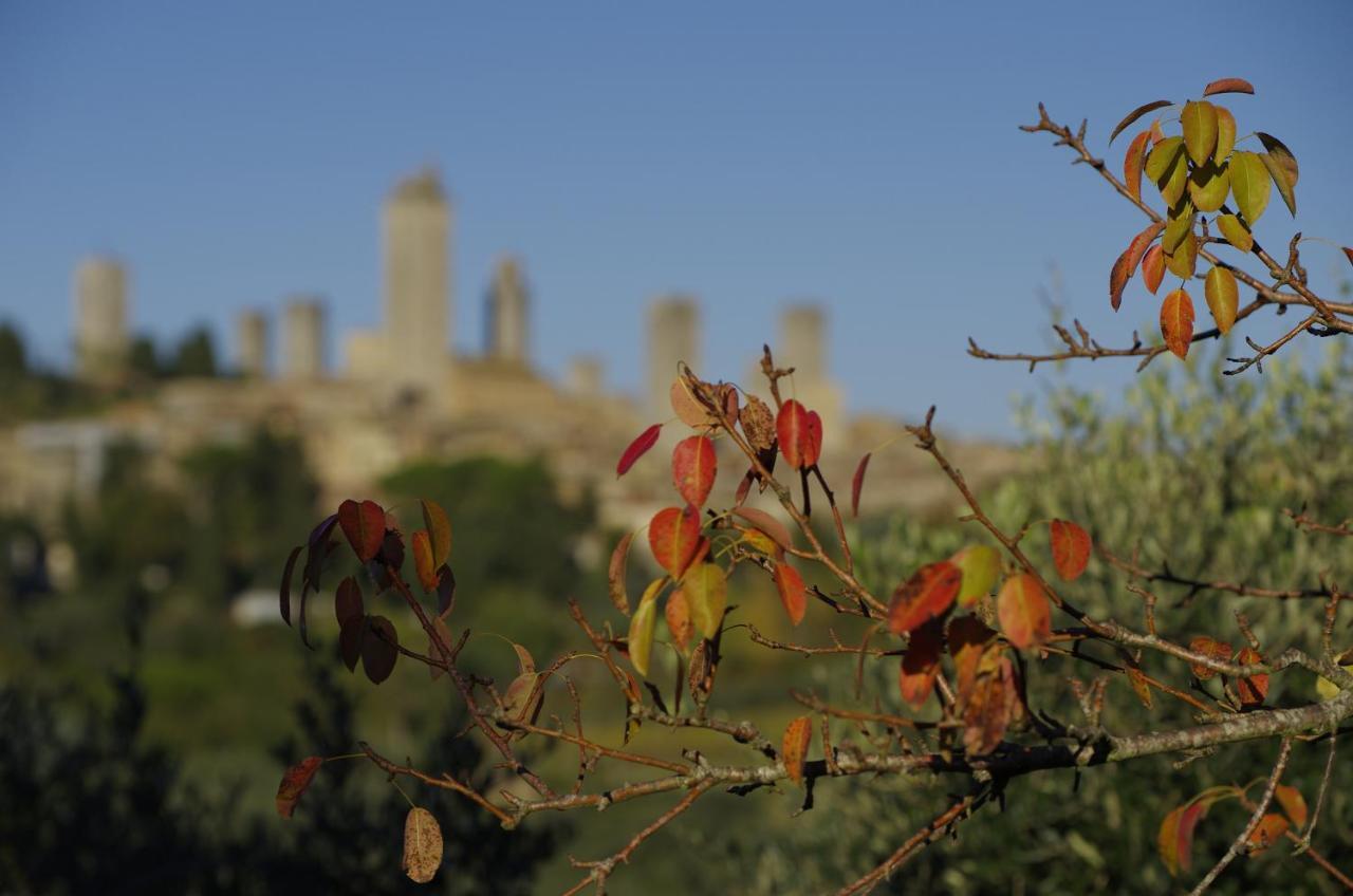 Apartamento Il Borgo Antico San Gimignano Habitación foto